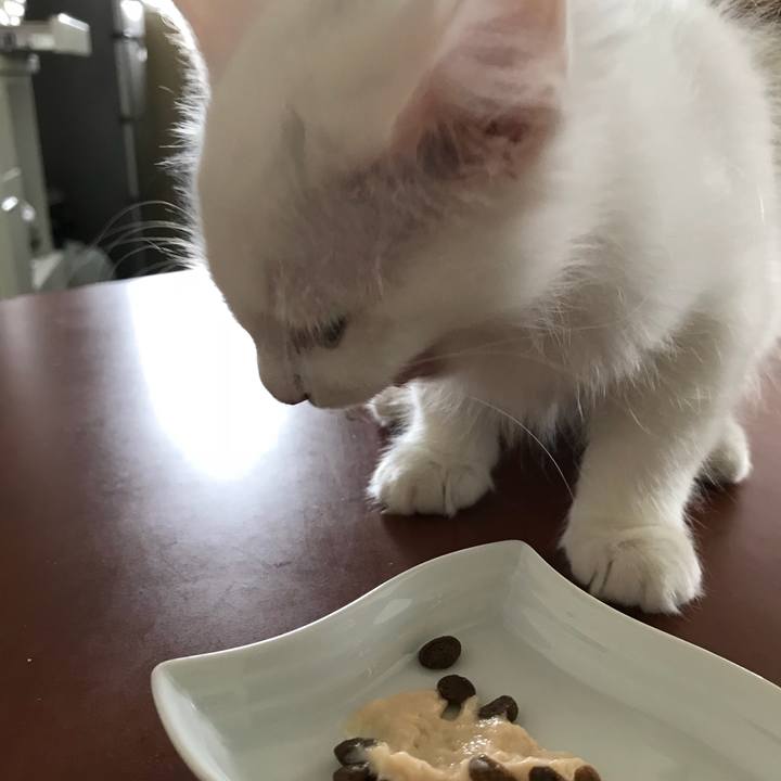 70db2507 c275 4d80 bfba 03d6bd085b2b