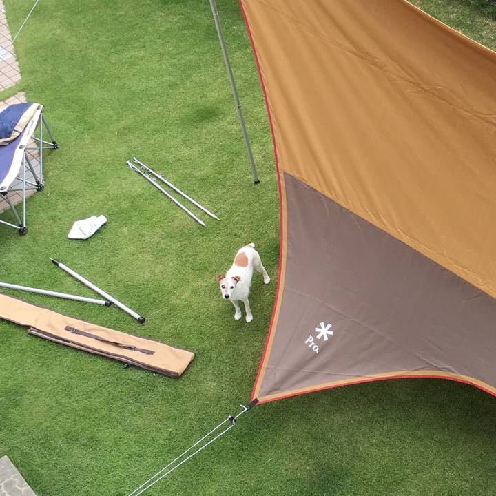 70db8c7c ef88 4d05 b40c a1ecd42215c3