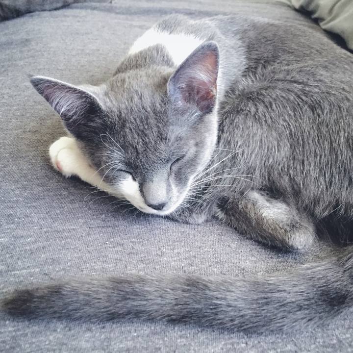 70dbb574 339d 41a3 89d4 852ea0c02f32