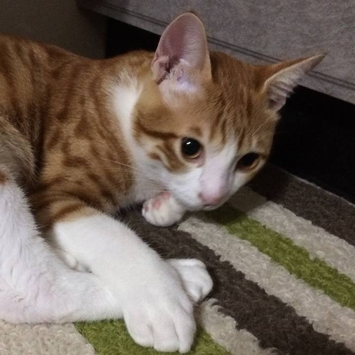 70dbd6cd 9bd8 44bb 9ac0 4697bf274702