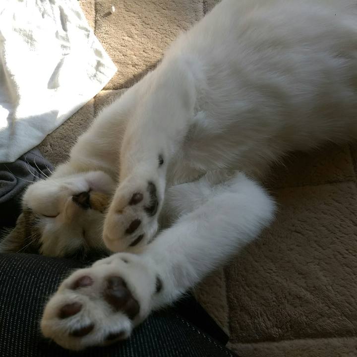 70dc54d3 1c0f 41d0 886c b9353061d92b