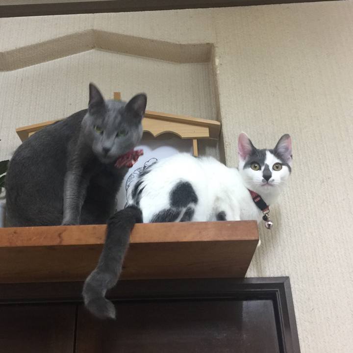 70dc8629 636e 41bb 8180 b18b232352cb