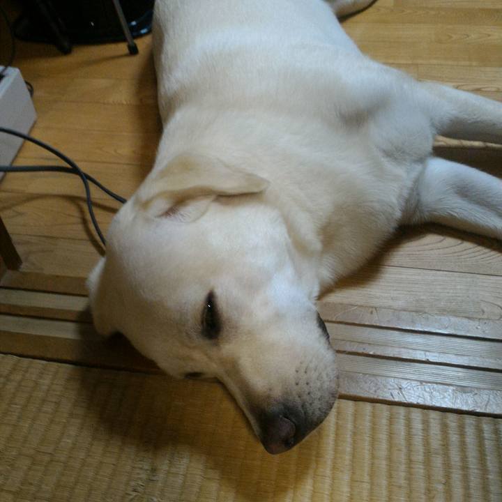 70dcc73f b41e 4229 8953 9f6f097ea091