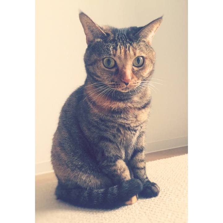 70dce330 8a82 422a b76f c1ca1495c92b