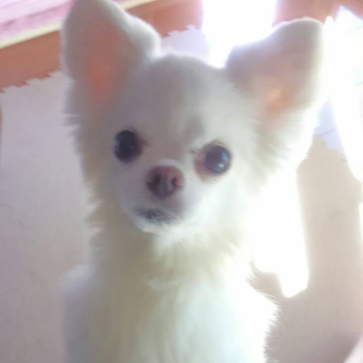 70dd0a33 86fb 4aa8 8b3d 72b32df103bc