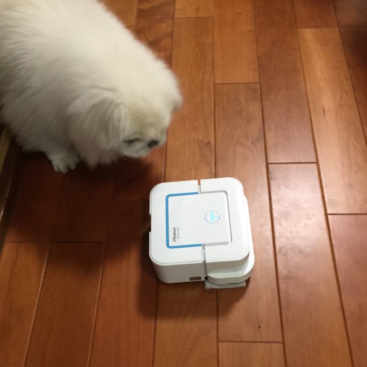 70dd1eab 935c 4a70 a465 70f34d943345