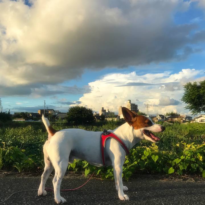 70dd59c2 14f6 4c65 8f93 6fb8ba814033