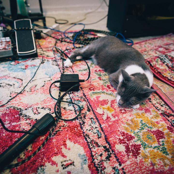 70dd6019 a632 4b73 9dfd fc529e69e1cb