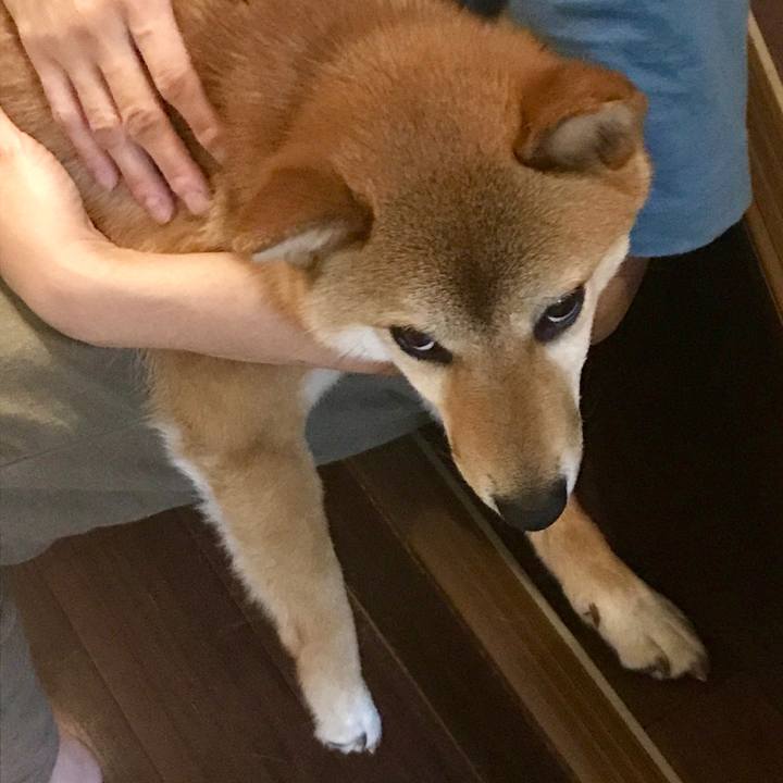 70de0296 6314 413d 8f37 d3a0273cd6b0