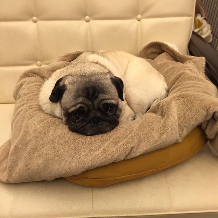 70de60c7 68c3 4673 a8d6 043f87f35c3b