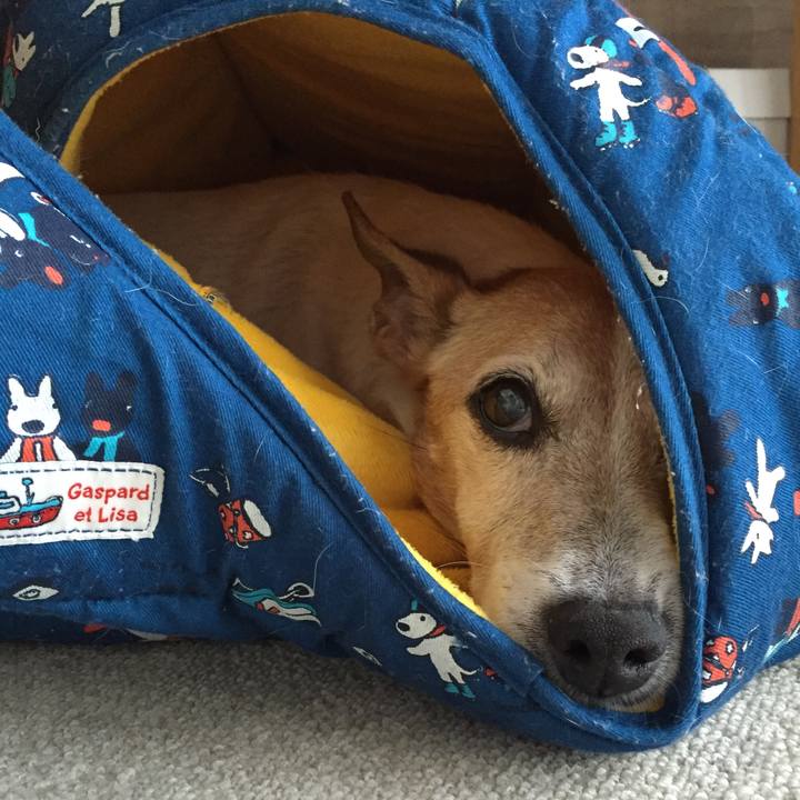 70deff9e beac 428a a5e0 5365f232693e