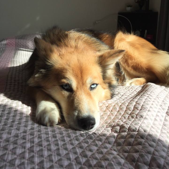 70df6ca1 e95a 44ff abbc bcac582c8a0c