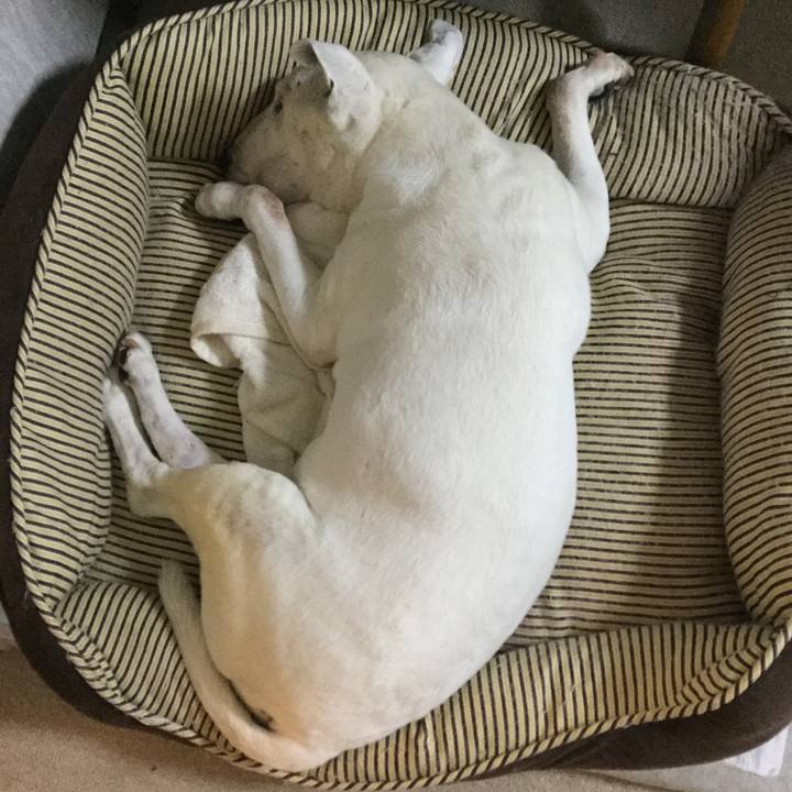 70df81d0 5c7a 40b0 a271 241889c21aff