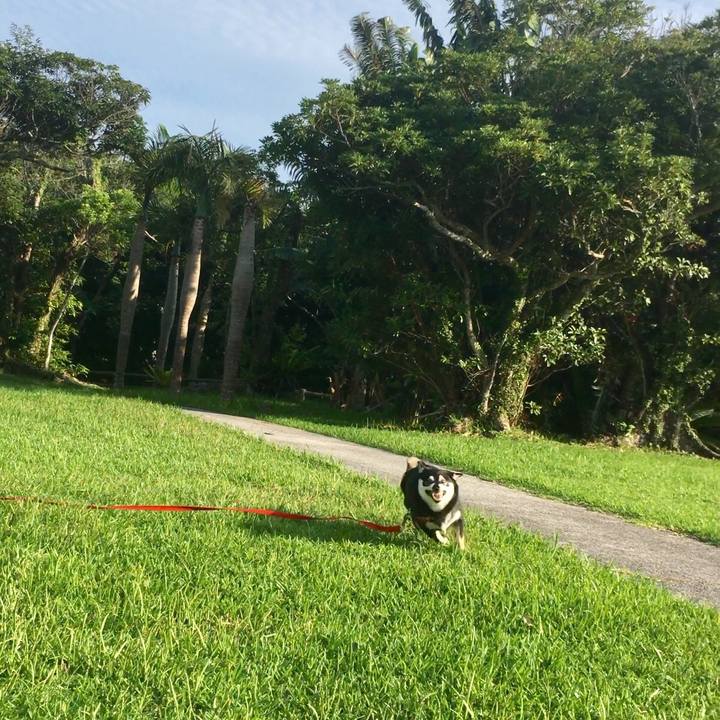 70dfa0d4 08a4 470c 92b9 45b1defd7689