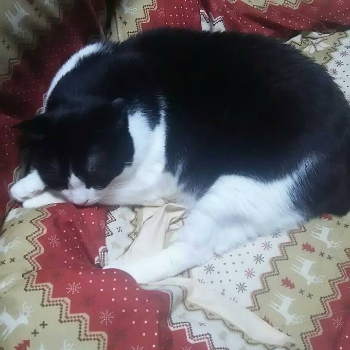 70dfc790 032e 4e7b 98bf 45a15e8013ed