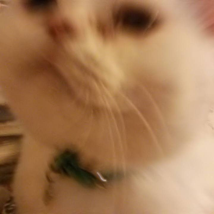 70dfc7a9 4059 4db2 9a16 83a87bcb359e