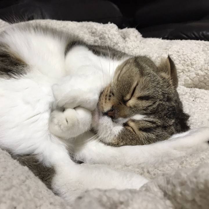 70dfd5ab 1ff9 4765 979a f55910642aff