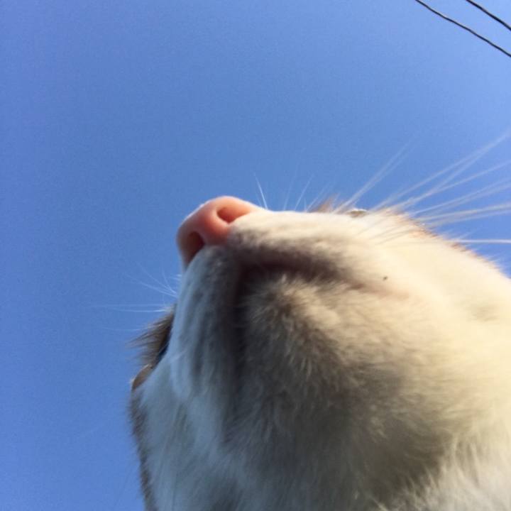 70dfe72b d887 49a3 ad8c cb8049343121