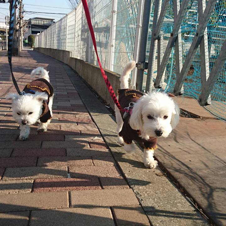 70e04bd9 1591 40cf 8c1f 119a472831ff