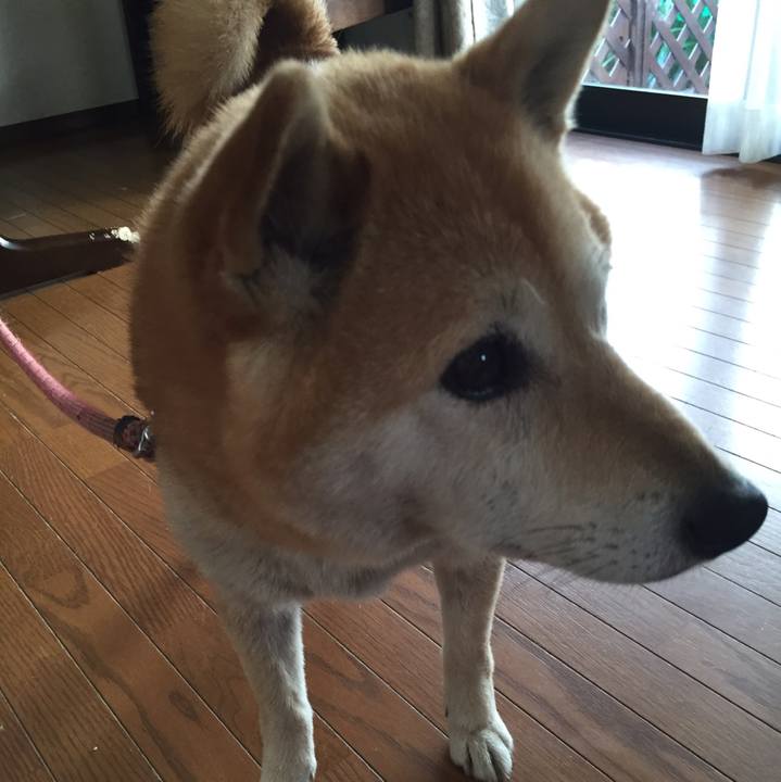 70e06e27 8f36 4b98 b508 95322f64fc76