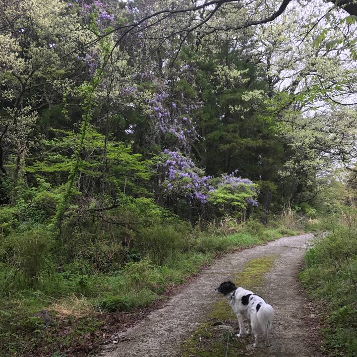 70e0a9e7 aab6 4faa b359 ad2232ff28dc