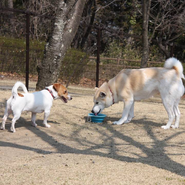 70e152c6 8c89 46d0 91a6 9fab8e6a126a