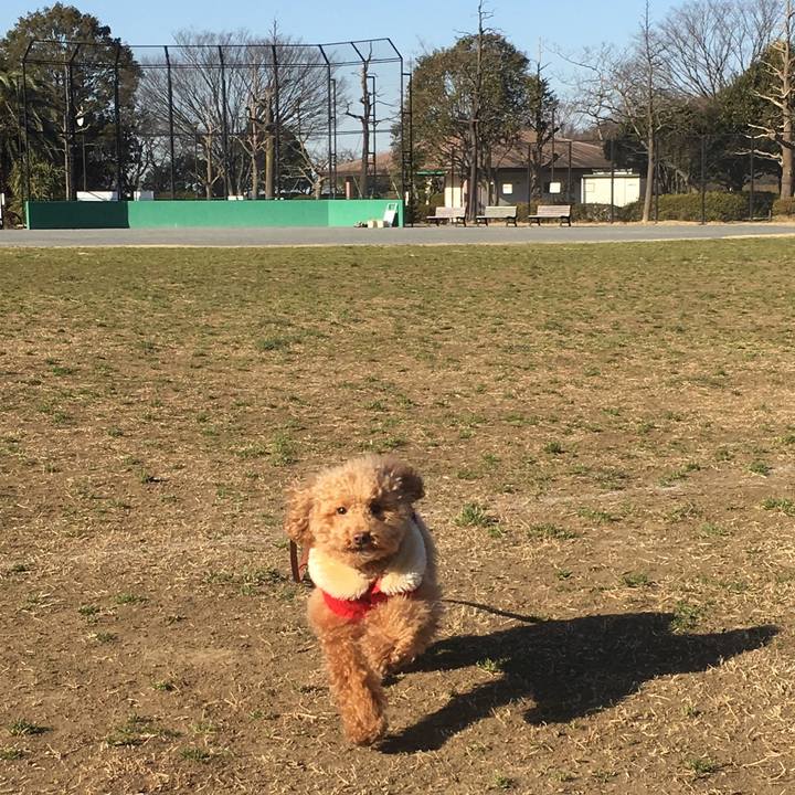 70e16e8e 2c22 4e8c 8f09 bc0b3a08aafb