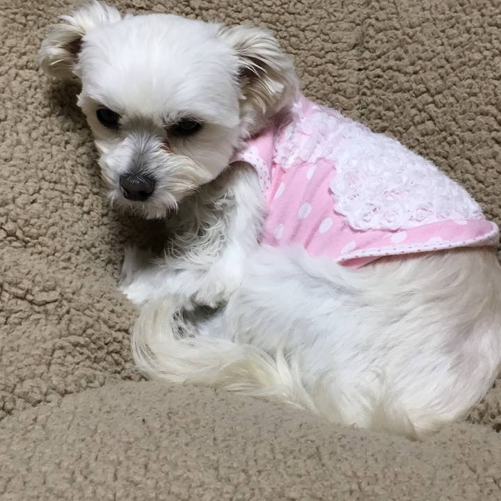 70e2703f 8e81 44a0 ae4c b0a2cb0453cf