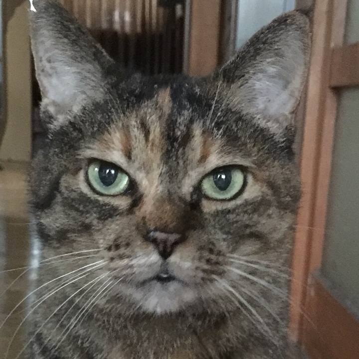 70e2afc5 bf38 4343 bda8 07411a334262