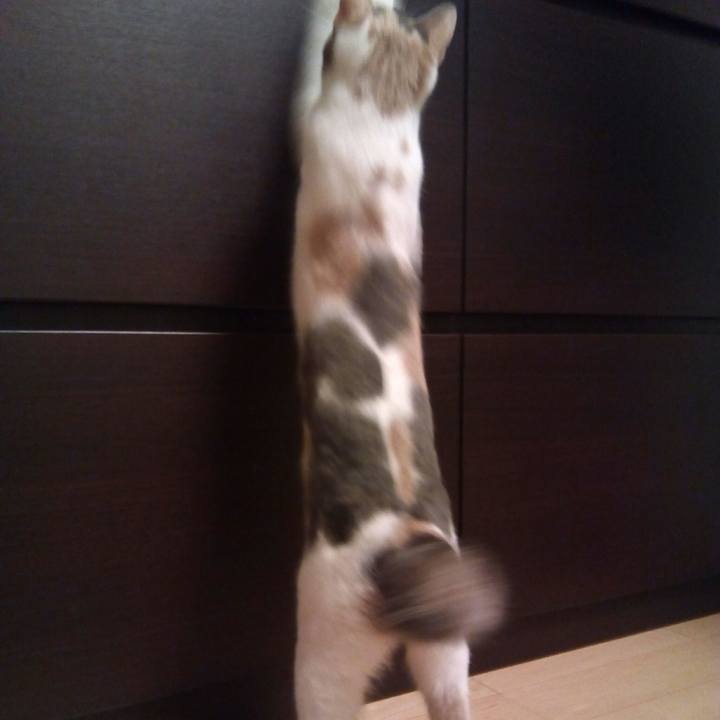 70e2ddee 29ab 4917 9eac bf2f8c96bc05