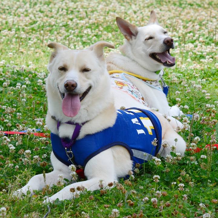 70e2e6a5 9947 4bcd 8ac6 f24f5e01dd3f