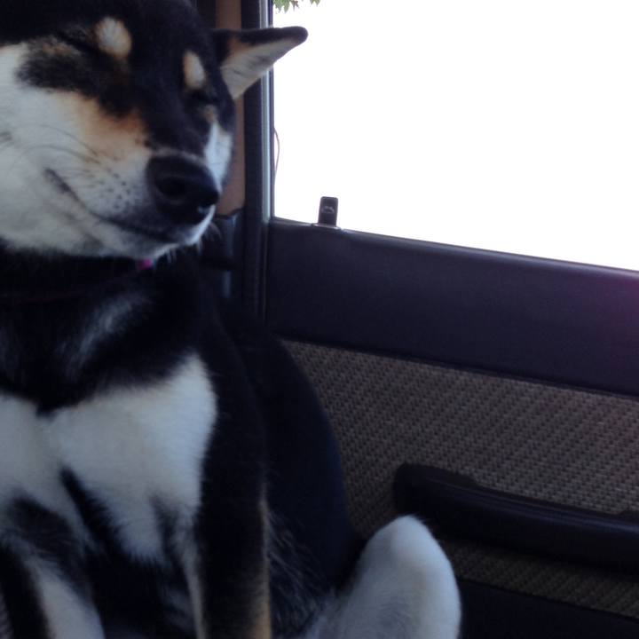 70e300df 35be 4769 b670 680a96268edf