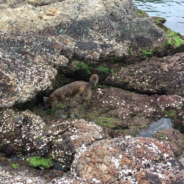 70e3a66e 2d79 449b b2b9 d1b4ed5a83ea