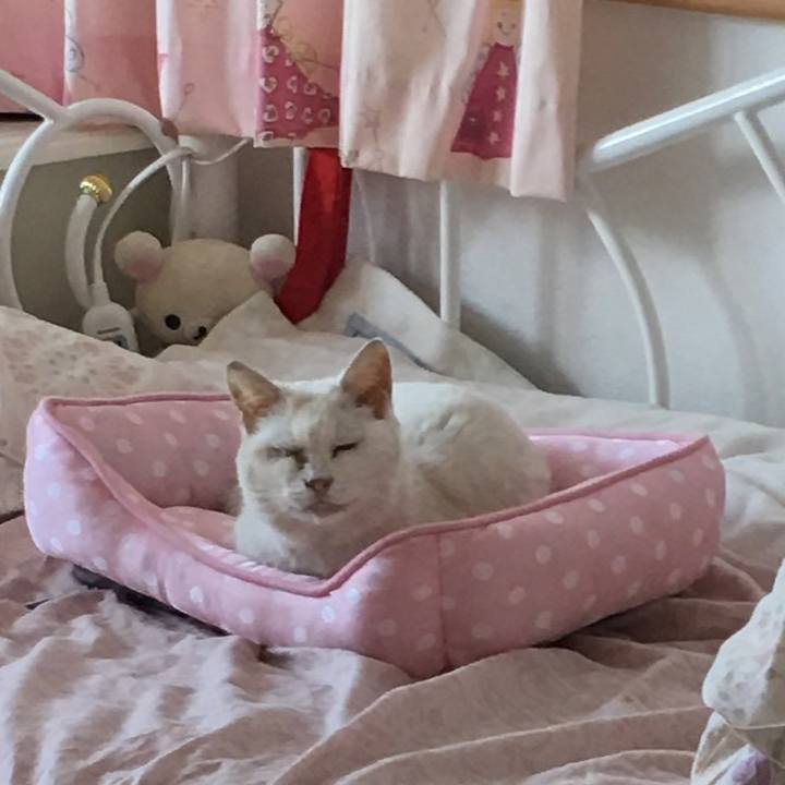 70e47471 ffd8 456d 97e7 fae8b3c9e65b