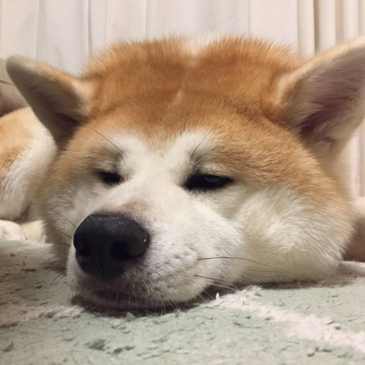 70e563a9 8950 4e41 8c15 ece569f745c8