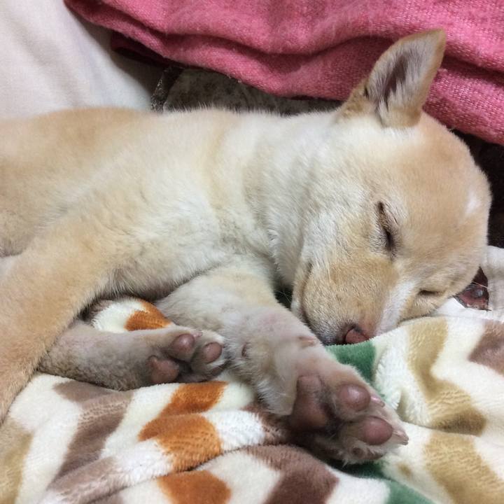 70e58870 96fc 4765 915a dc963627544c