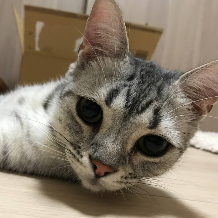 70e59e06 b86d 4d8e b759 c0660274eb29