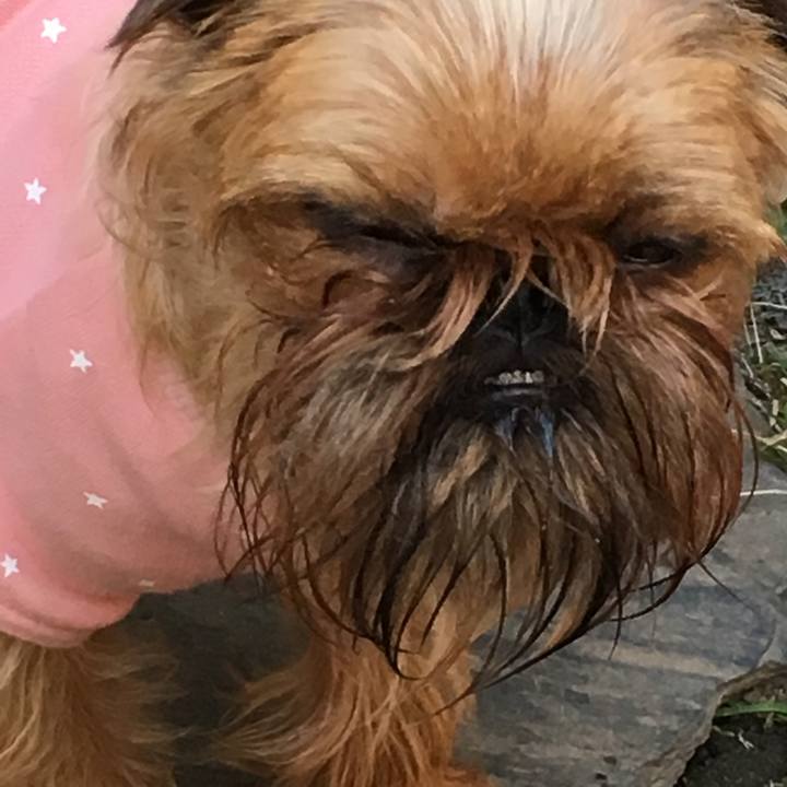 70e5d4f7 22d6 430e 9487 83d814ecd96e