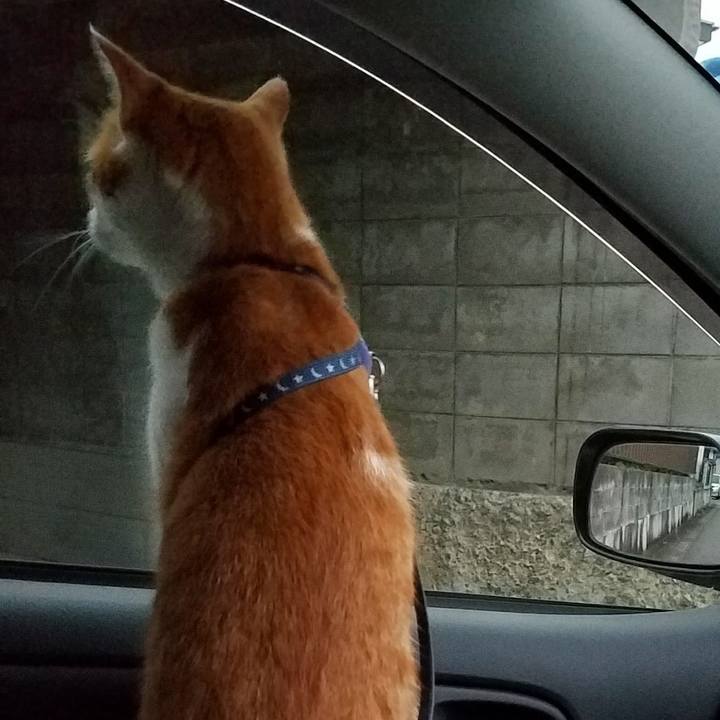 70e5fda6 de26 48eb a642 b479b98fca1d