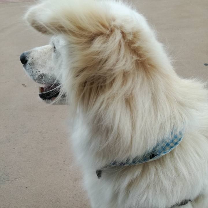 70e66fdc 1aad 4708 853a 488f5856d8a4