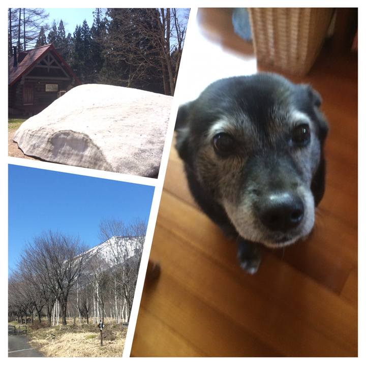 70e67841 1a89 4636 bf8c 77db26c24ea4