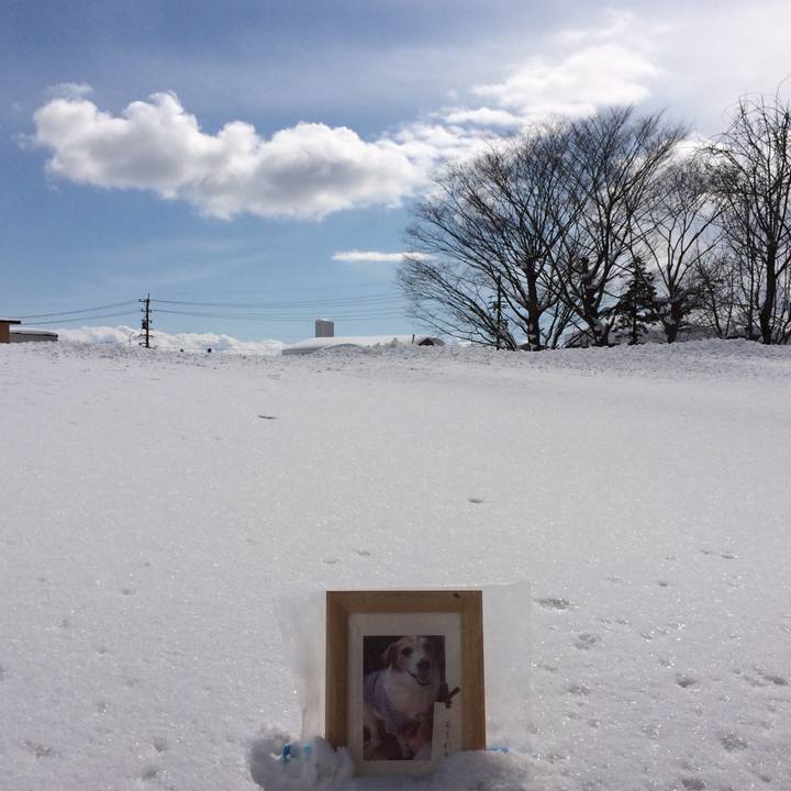 70e6aa3e d375 4ad9 9036 b34a42bb07cf