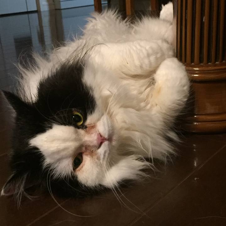 70e6b178 644a 45a5 85a3 8eb3ff136821