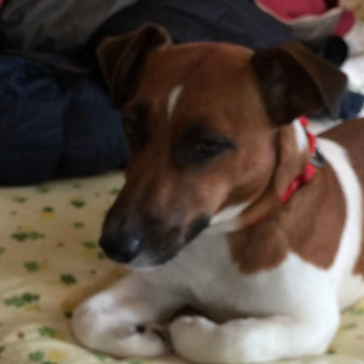 70e6df44 ad04 42ee 999b 0979703a0eb8