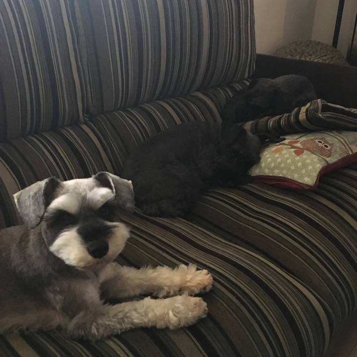 70e75ad7 fddf 4df2 b484 0414c5bb4938