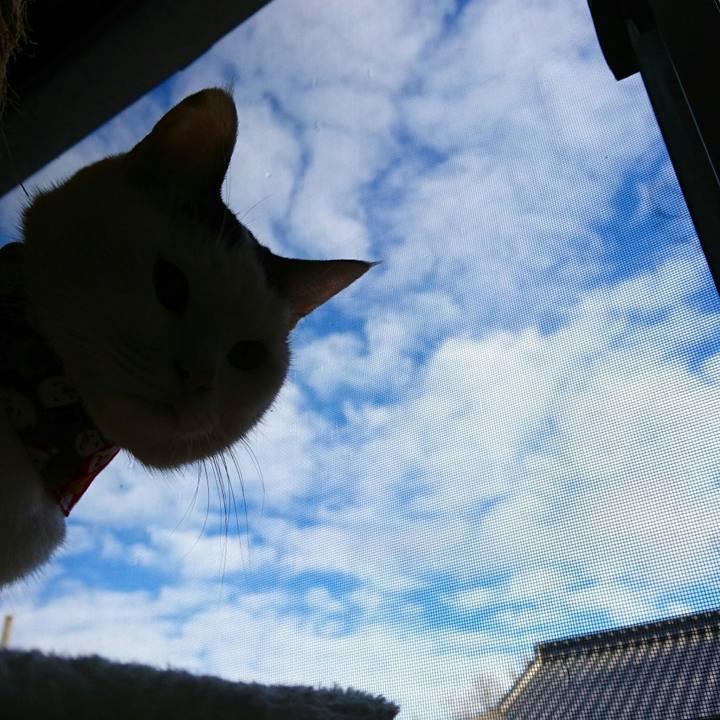 70e7d508 d16b 49d0 8c12 eb375234f8e6