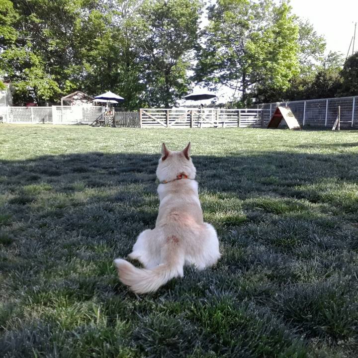 70e7d994 077b 4df0 ab58 e59d4b2de64e