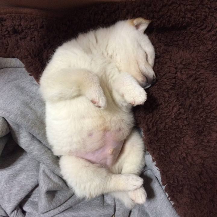 70e99117 54f6 4d0f 9204 c05a7e26317e