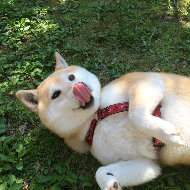 70e9ab18 91e5 4680 af7a 44d2b66b2ecb