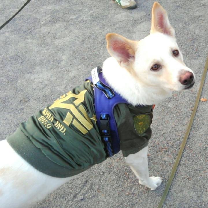 70e9dea3 6f7c 4db5 b1ae ba4572af849d